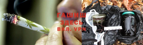 PSILOCYBIN Белокуриха