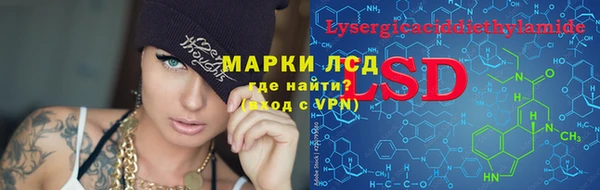 PSILOCYBIN Белокуриха