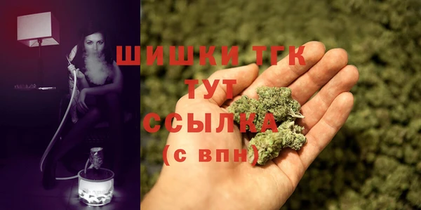 PSILOCYBIN Белокуриха