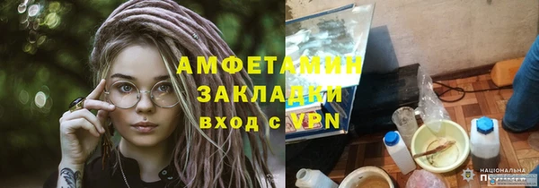 PSILOCYBIN Белокуриха